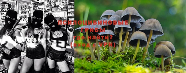 прущая мука Лагань