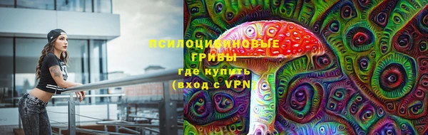 гидропоника Краснослободск