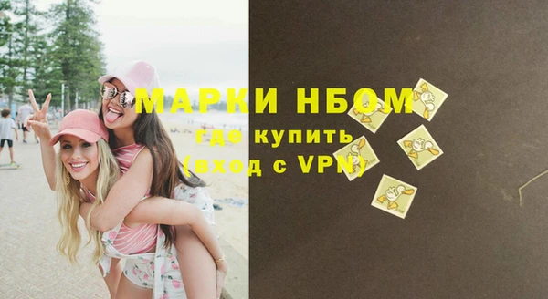 дмт Козельск