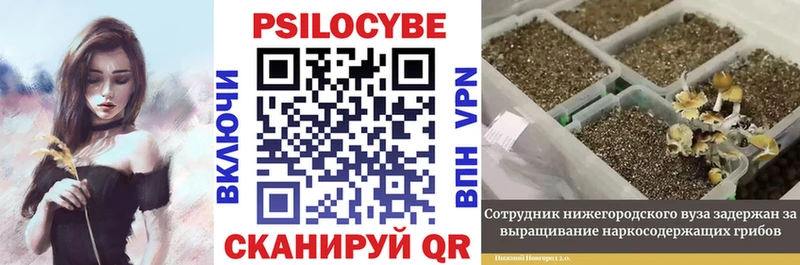 Галлюциногенные грибы Psilocybine cubensis  купить наркоту  darknet клад  Рязань  omg как зайти 